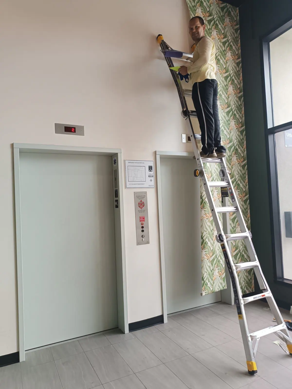 Boston's Wallpaper Installers